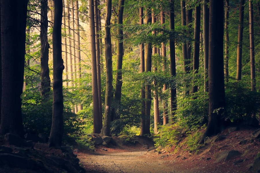 Preservation program in natural setting